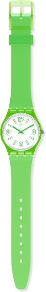 Swatch ELECTRIC FROG GG226 montre Swatch ELECTRIC FROG GG226 montre