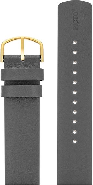 Picto 6220G Ersatzarmband