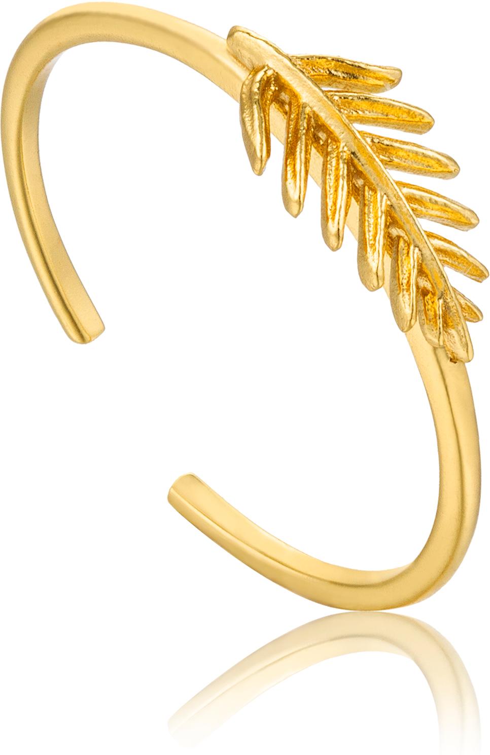 Ania Haie Jewellery R011-01G Damenring