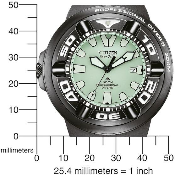 Citizen Prof. Diver 300 BJ8055-04X Montre-Bracelet pour hommes