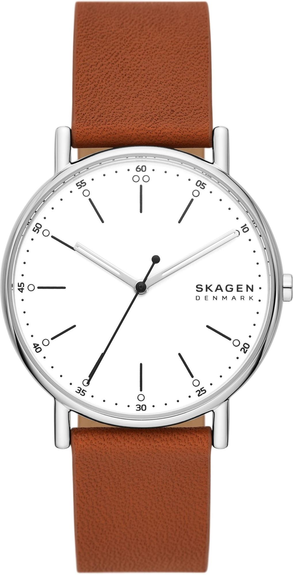 Skagen SIGNATUR SKW6903 Mens Wristwatch