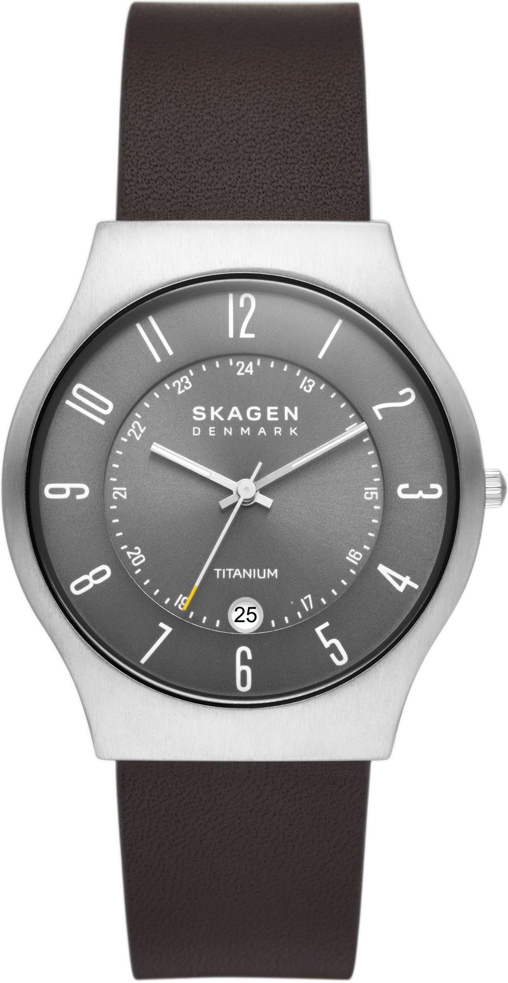 Skagen SUNDBY SKW6909 Mens Wristwatch