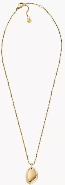 Skagen Jewelry SKJ1725710 Chaîne de cou pour femmes Skagen Jewelry SKJ1725710 Chaîne de cou pour femmes