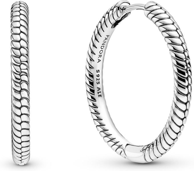 Pandora Moments Charm-Ohrringe 299532C00 Earrings Pandora Moments Charm-Ohrringe 299532C00 Earrings