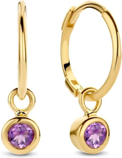 Jackie Gold Jackie JKE21.006 Dames Oorringen JKE21.006 Orecchini