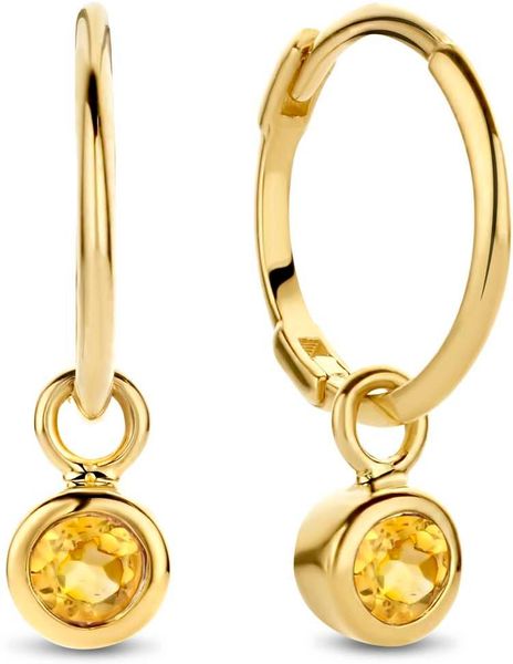 Jackie Gold Jackie JKE21.007 Dames Oorringen JKE21.007 Earrings Jackie Gold Jackie JKE21.007 Dames Oorringen JKE21.007 Earrings