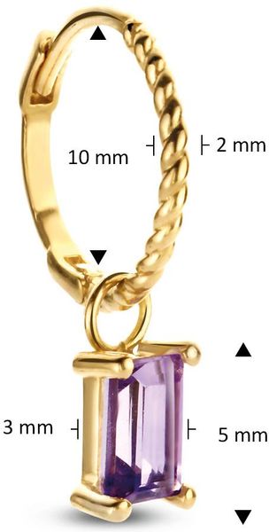 Jackie Gold JKS21.156 Oorbellen Jackie Gold JKS21.156 Oorbellen