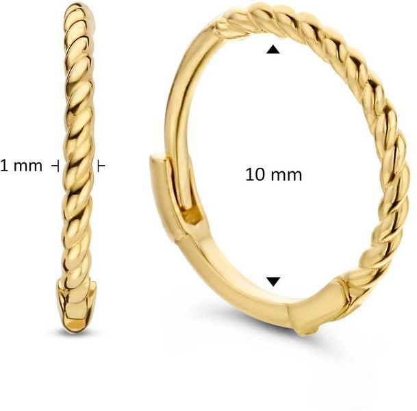 Jackie Gold JKE20.040 Earrings Jackie Gold JKE20.040 Earrings
