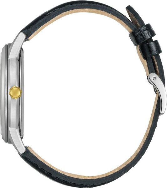 Citizen Eco-Drive AW1784-16E Montre-Bracelet pour hommes Citizen Eco-Drive AW1784-16E Montre-Bracelet pour hommes