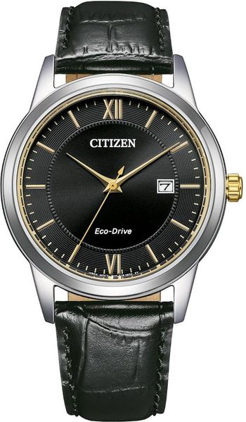 Citizen Eco-Drive AW1784-16E Montre-Bracelet pour hommes Citizen Eco-Drive AW1784-16E Montre-Bracelet pour hommes