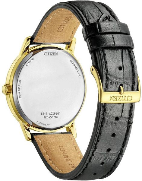 Citizen Eco-Drive BM6756-01A Heren armbandhorloge Citizen Eco-Drive BM6756-01A Heren armbandhorloge