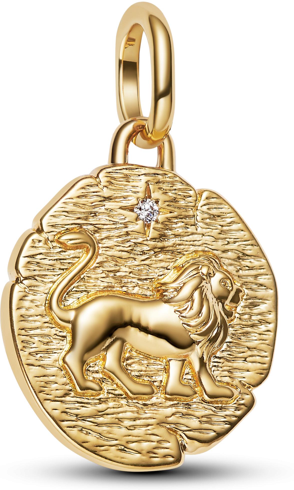 Pandora Löwe Medaillon-Charm 763974C01 Charm Anhänger