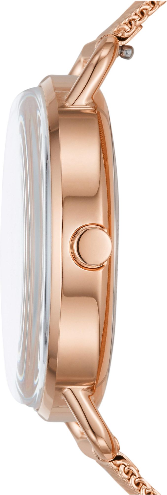 Skagen HORIZONT SKW2931 Dames armbandhorloge Skagen HORIZONT SKW2931 Dames armbandhorloge