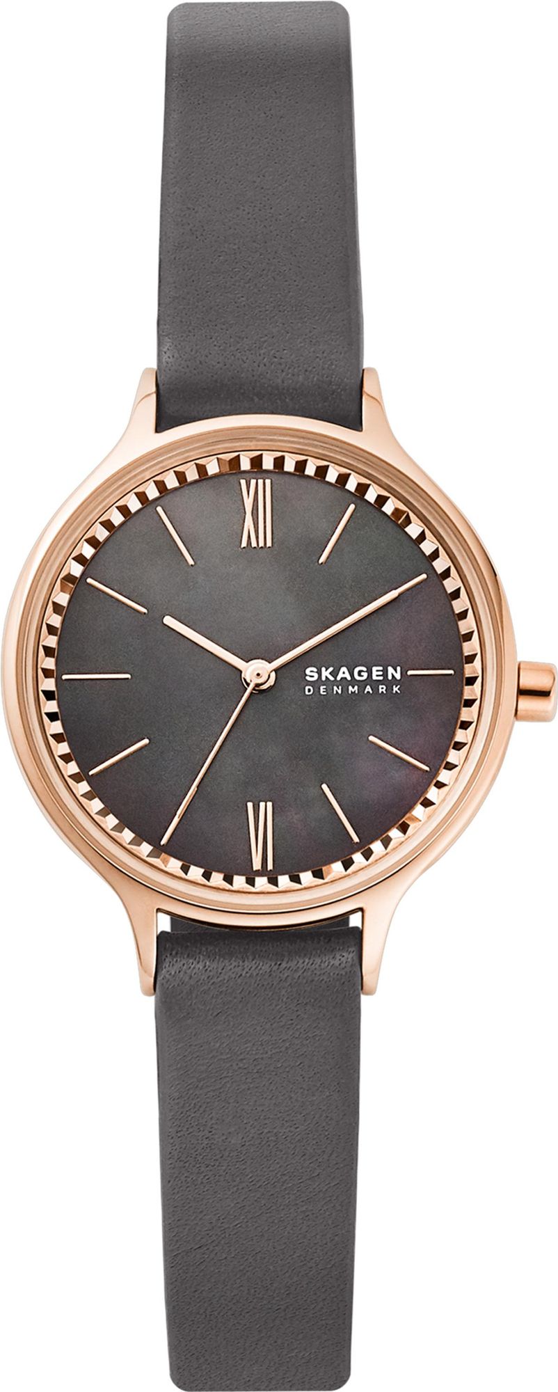 Skagen Anita Lille SKW2909 Montre Bracelet pour femmes Skagen Anita Lille SKW2909 Montre Bracelet pour femmes