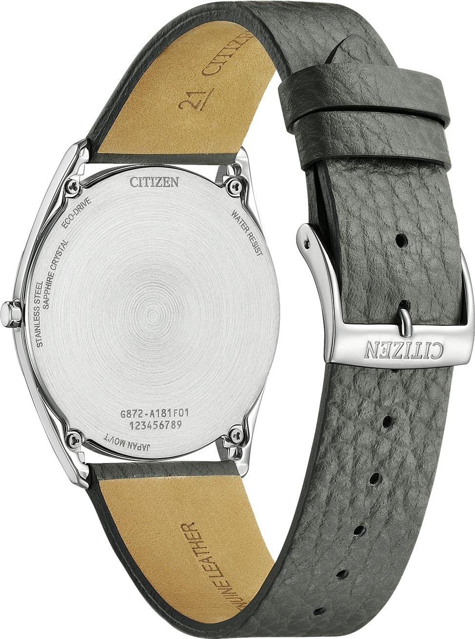 Citizen EcoDrive AR3120-24L Heren armbandhorloge Citizen EcoDrive AR3120-24L Heren armbandhorloge