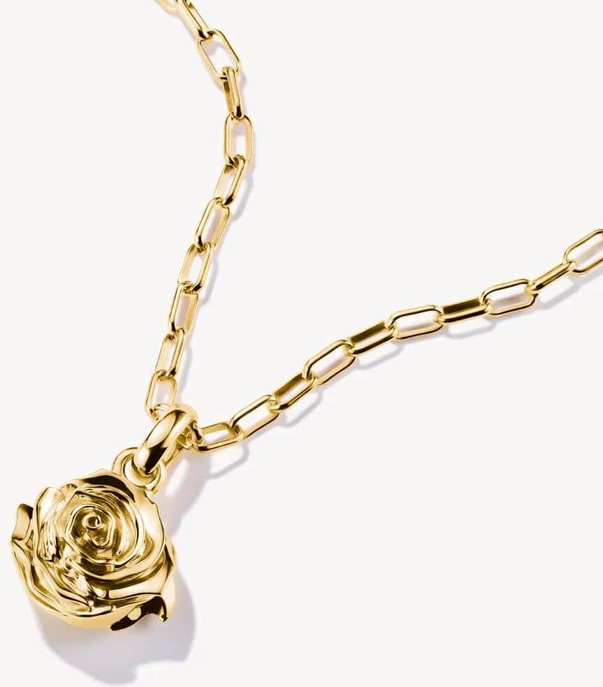 Thomas Sabo Charm Club Connect CC1263-413-39 Pendente charm Thomas Sabo Charm Club Connect CC1263-413-39 Pendente charm