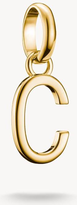 Thomas Sabo Charm Club Connect CC1209-413-39 Charm