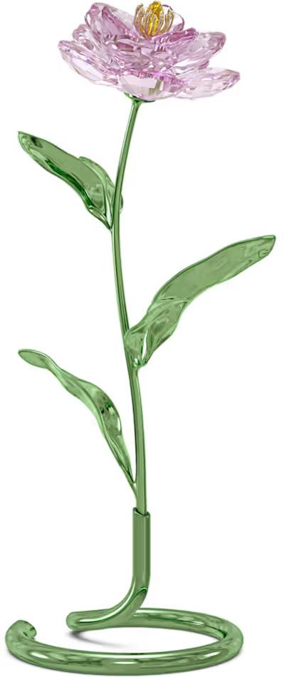 Swarovski Florere Pfingstrose 5668065 décoration