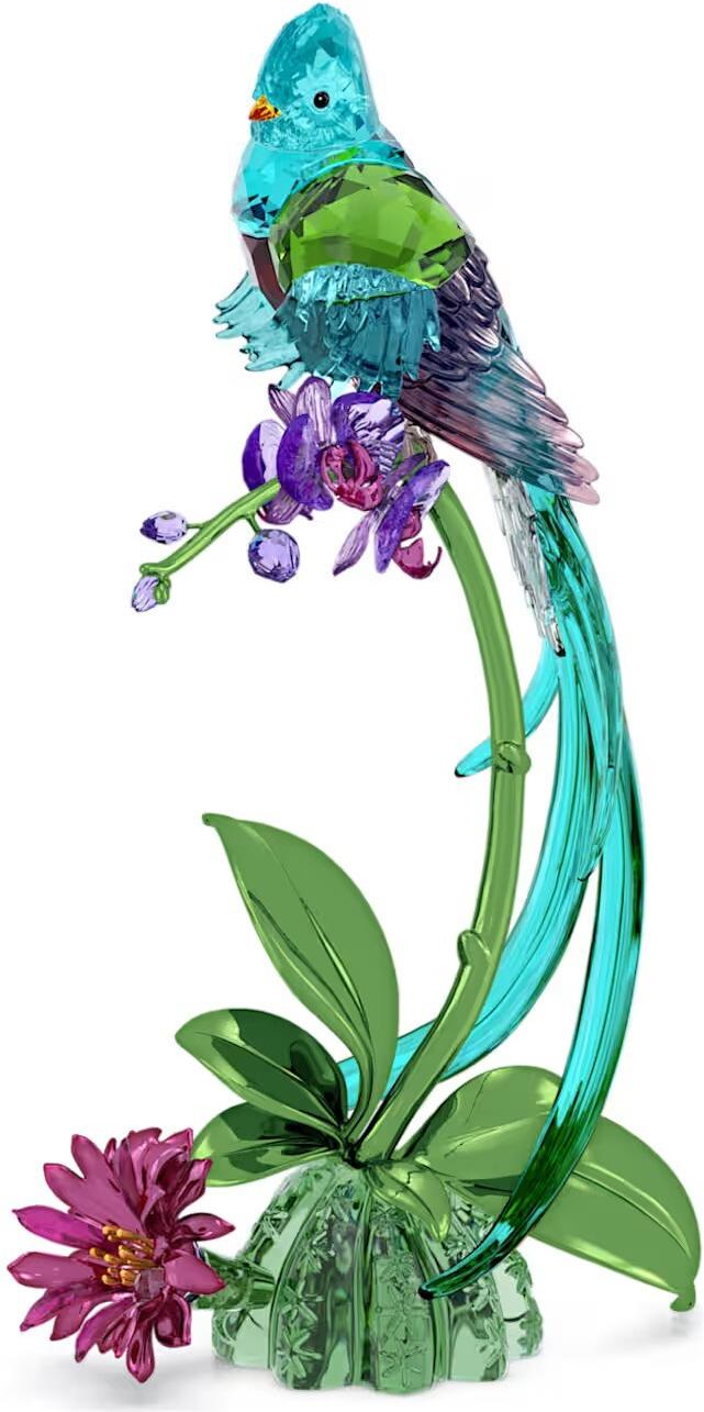 Swarovski Idyllia Quetzal und Orchidee 5682123 decoración