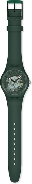 Swatch REVEALED IN THE FOREST SO29G111 Montre Unisexe