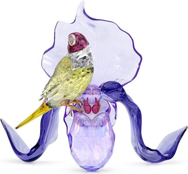 Swarovski Idyllia Gouldamadine und Orchidee 5675211 decoratie Swarovski Idyllia Gouldamadine und Orchidee 5675211 decoratie