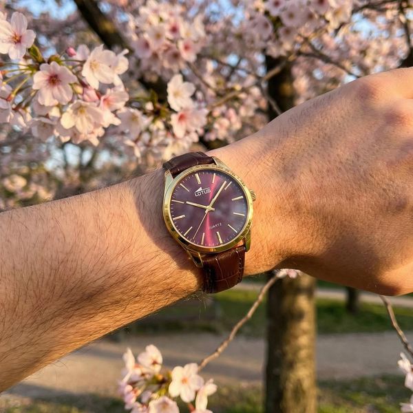 Lotus MINIMALIST FOR HIM 19067/3 Reloj de Pulsera para hombres